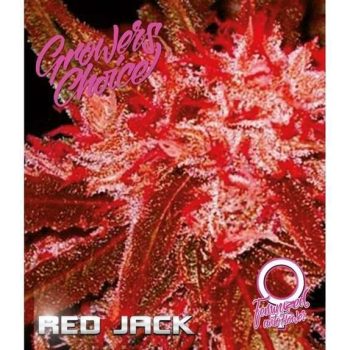 Red Jack Auto   (Growers Choice Seeds)