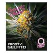 Frosty Gelato Auto (Growers Choice Seeds)