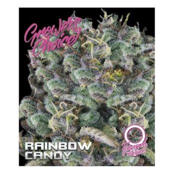 Rainbow candy Auto (Growers Choice Seeds)