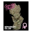 Banana Glue  (Growers Choice Seeds)