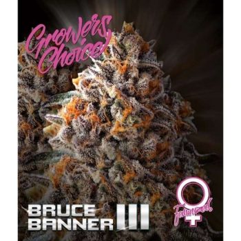 Bruce Banner III   (Growers Choice Seeds)