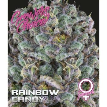 Rainbow Candy  (Growers Choice Seeds)