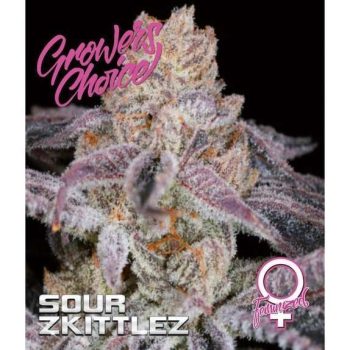 Sour Zkittlez (Growers Choice Seeds)