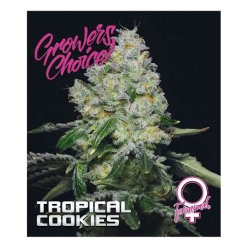 Tropical Cookies (Growers Choice Seeds)