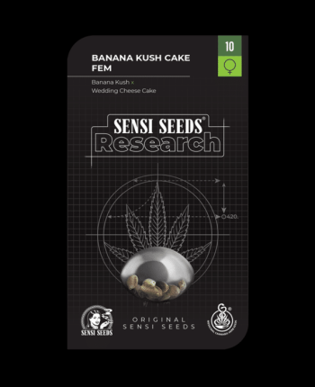 Banana Kush Cake Feminised (Sensi Seeds Research)
