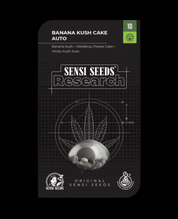 Banana Kush Cake Auto (Sensi Seeds Research)