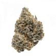 Rainbow Runtz Feminised (Growers Choice Seeds)