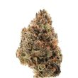 Tangie Punch Feminised (Growers Choice Seeds)