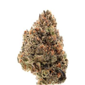 Tangie Punch Feminised (Growers Choice Seeds)