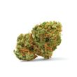 Grapefruit x Bubblegum Auto (Growers Choice Seeds)