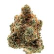 Monkey Glue auto (Growers Choice Seeds)