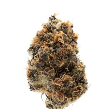 Watermelon Punch Autoflower (Growers Choice Seeds)
