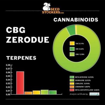 CBG Zero Due Feminised (SeedStockers Seeds)