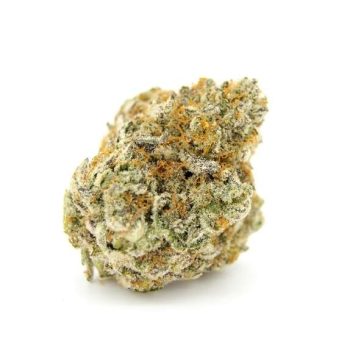 Forbidden Runtz feminised (Growers Choice Seeds)