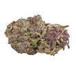 Ultra Violet GMO feminised (Growers Choice Seeds)