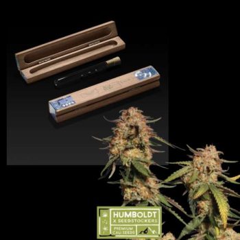 Humboldt x superior Blue Moby Feminised (SeedStockers Seeds)