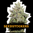 Wedding Cake (SeedStockers Seeds)