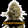 Wedding Glue (SeedStockers Seeds)