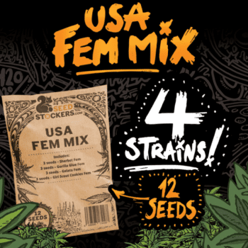 USA Fem Mix (SeedStockers Seeds)