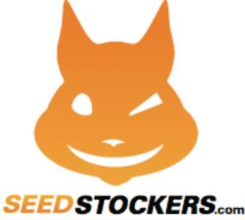 Fruit Cake Auto (SeedStockers Seeds)