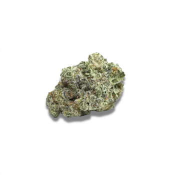 Mac1 Auto (Growers Choice Seeds)