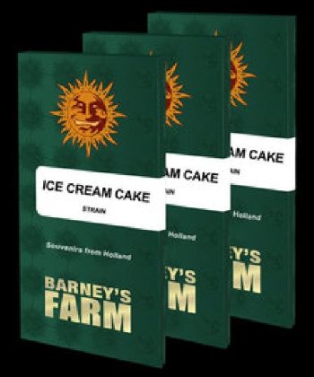 Ice Cream Cake (Barneys Farm Seeds)