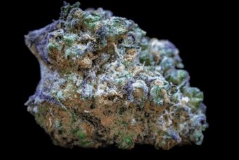 Frozen Cherry Runtz (Growers Choice Seeds)