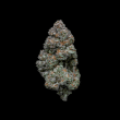 120484png