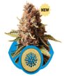 Euphoria (Royal Queen Seeds)