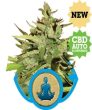 Stress Killer Auto (Royal Queen Seeds)