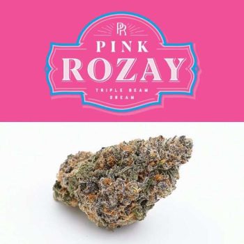 Love Cannabis - Pink Rozay - Feminized Cannabis Seeds