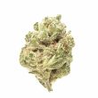 banana-og-feminized-cannabis-seeds2jpg