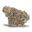 gelato-feminized-cannabis-seeds3jpg