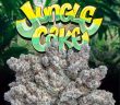Love Cannabis - Jungle Cake - Feminized Cannabis Seeds