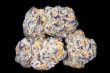 lava-cake-feminized-cannabis-seedsjpg