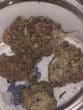 love-cannabis-seeds-cereal-milk-s1-feminized-cannabis-seeds-2jpg