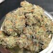 gushers-feminized-cannabis-seeds3jpg