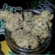 mitten-cake-batter-feminized-cannabis-seeds2png
