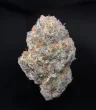 oreoz-feminized-cannabis-seed2-scaled-1jpeg