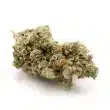 pineapple-express-feminized-cannabis-seeds2jpg