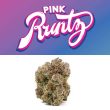 Pink Runtz Auto Seeds by Love Cannabis