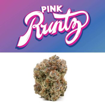 Love Cannabis - Pink Runtz - Feminized Cannabis Seeds