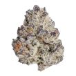 purple-punchsicle-feminized-cannabis-seeds2jpg