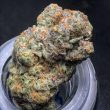 runtz-feminized-cannabis-seeds2jpg