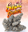 Love Cannabis - Sunset Sherbert - Feminized Cannabis Seeds