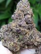 zoap-feminized-seeds-love-cannabisjpg