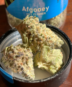 afgoo seeds, afgooey seeds - flower