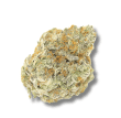 permanent-white-marker-growers-choice-seeds