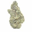 zerberry-triploid-seeds-feminized