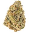 acai-jelly-strain-feminized-seeds-love-cannabisjpg